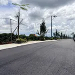 Bán đất thổ cư Tân Hà Lâm Đồng 210m² 570 triệu - Ảnh thu nhỏ 1