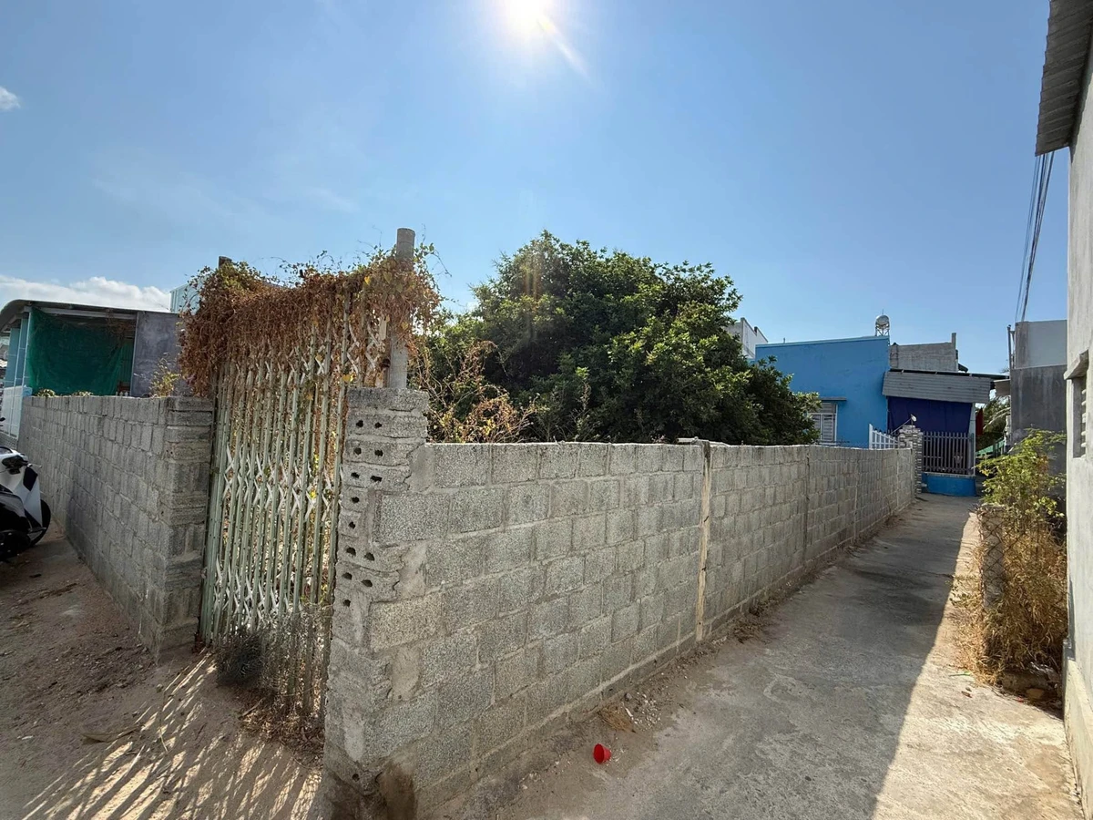 Bán đất biển 257,9m² Ninh Hải, Khánh Hòa, 2 tỷ - Ảnh thu nhỏ 4