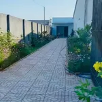 Bán đất Mỹ Hạnh, Bình Dương 255m² 2 tỷ - Ảnh thu nhỏ 3