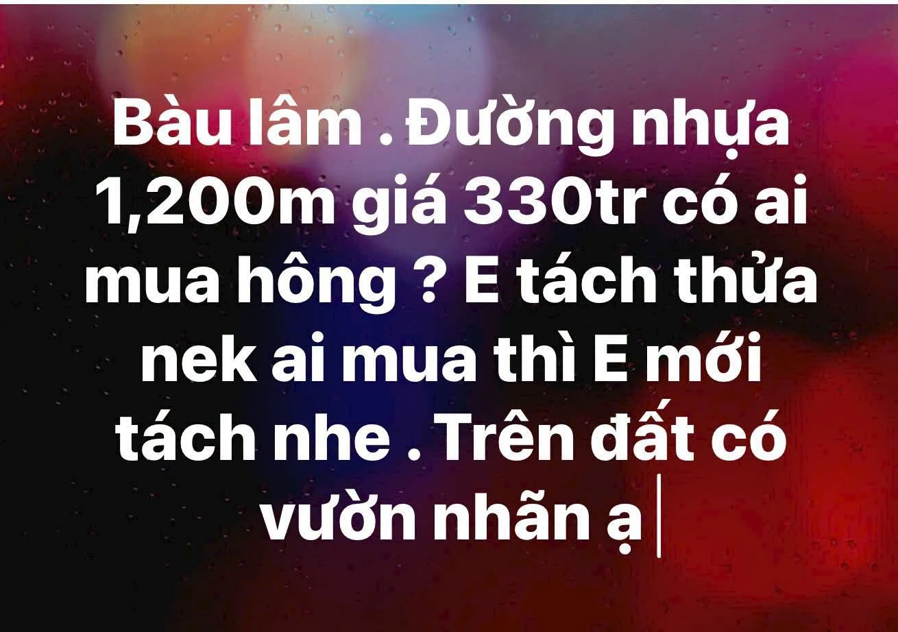 Bán đất 1.200 m² tại Xã Tân Lâm, Xuyên Mộc - Ảnh 1