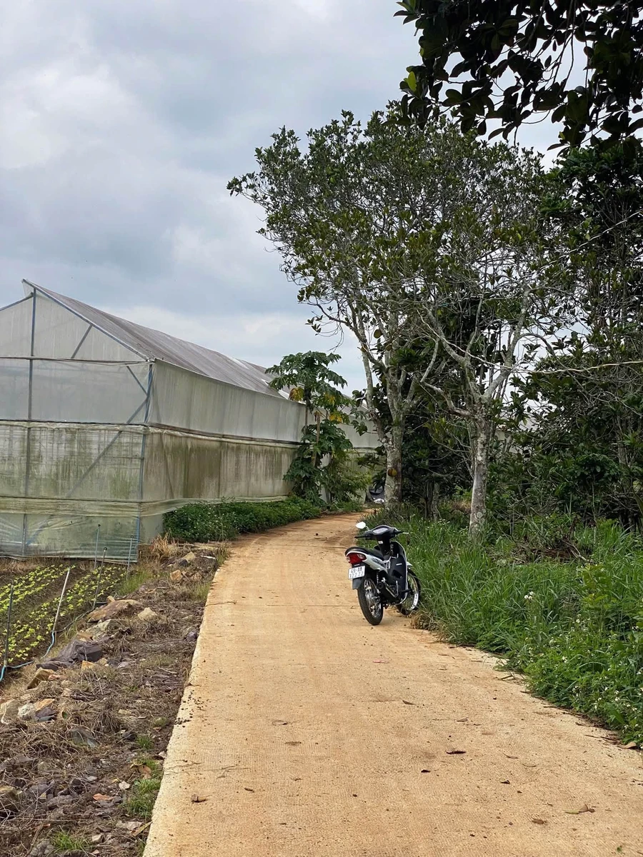 Bán đất 1000m2 Hiệp An, Đà Lạt 1 tỷ 6 - Ảnh thu nhỏ 2