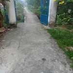 Bán đất vườn dừa 4600m² Phú Nhuận Bến Tre 950tr/công - Ảnh thu nhỏ 2