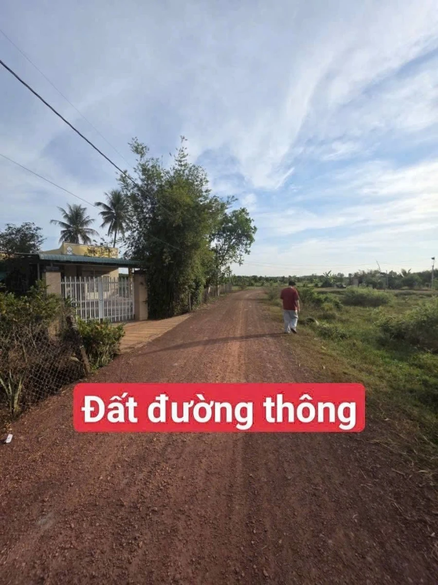 Bán đất 175m² đường 11-11, Tây Ninh, 290 triệu - Ảnh thu nhỏ 2