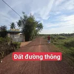 Bán đất 175m² đường 11-11, Tây Ninh, 290 triệu - Ảnh thu nhỏ 2