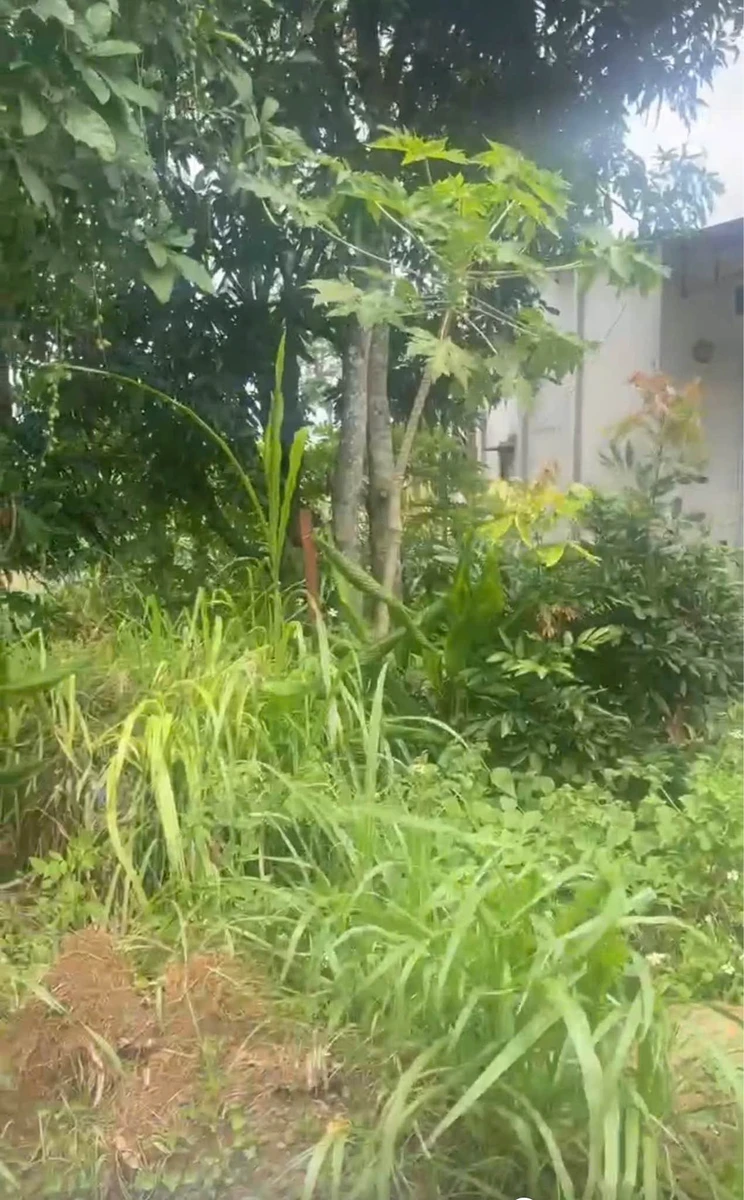 Bán lô đất 209,3m² Trần Nhân Tông, Buôn Ma Thuột - Ảnh thu nhỏ 2