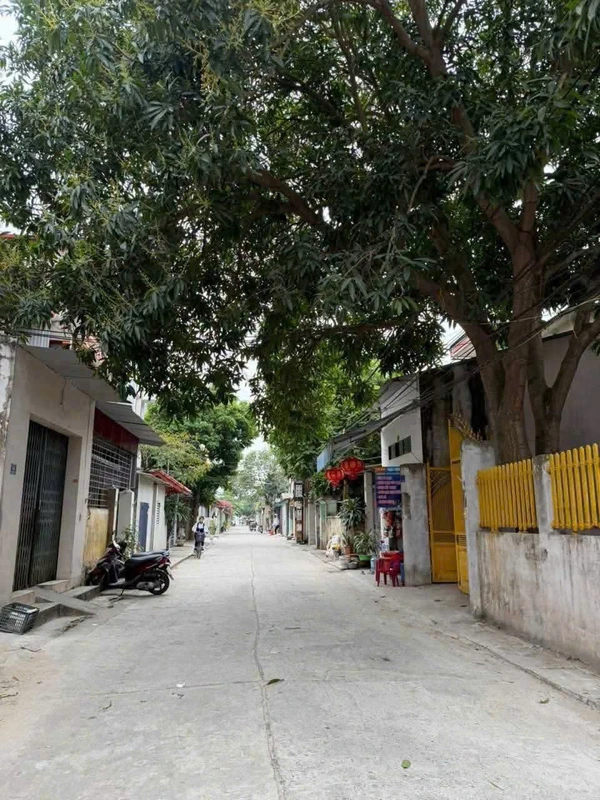 Bán 2 lô đất liền kề hơn 42m2 ngõ phố Trần Quang Diệu, Hải Tân, TP Hải Dương