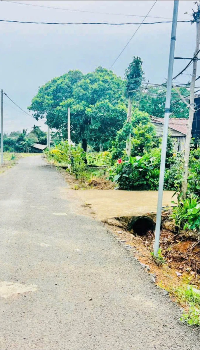 Bán lô đất Hoà Hiệp, Xuyên Mộc 959m2, giá 1 tỷ 250 triệu - Ảnh 1