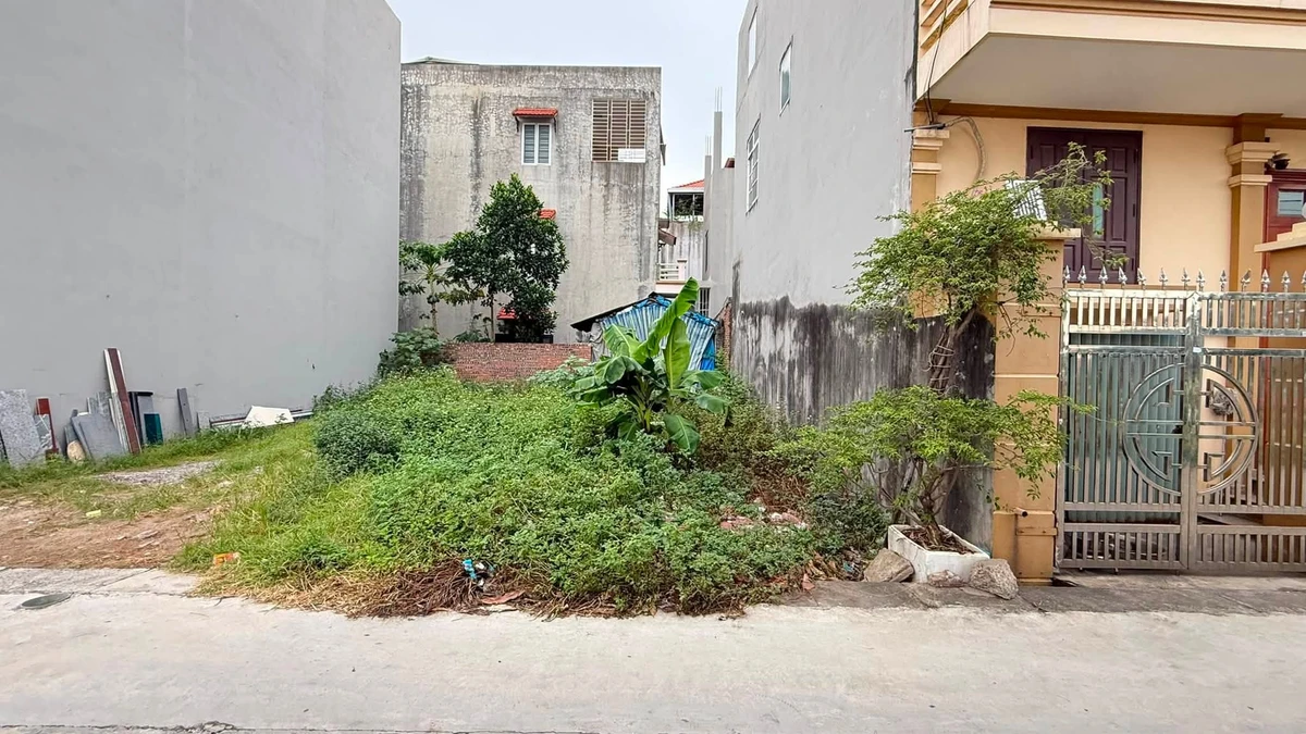 Bán lô đất 57,8 m² mặt tiền rộng đường Trường Chính 2,5 tỷ - Ảnh thu nhỏ 4