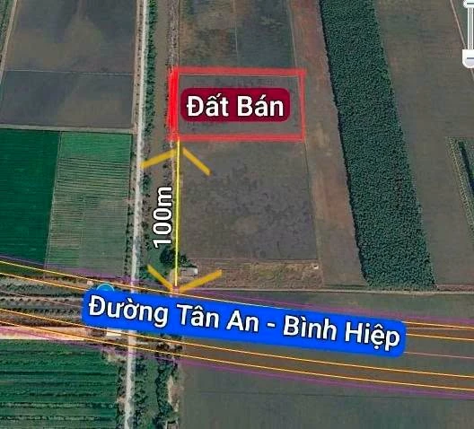 Bán đất lúa 9960m2 Tân Tây Thạnh Hóa Long An 2,1 tỷ - Ảnh thu nhỏ 3