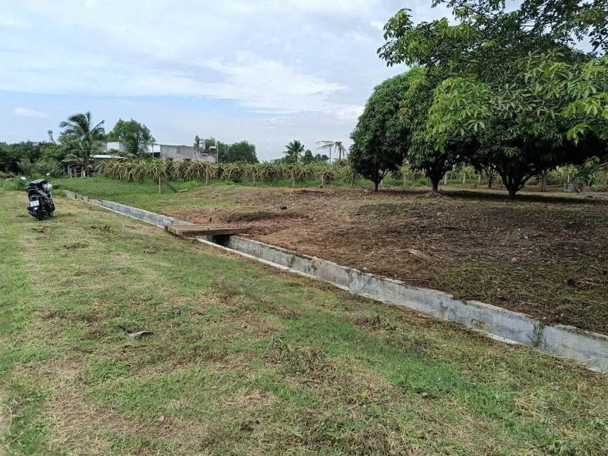 Bán đất 1000m² tại Hàm Liêm, Bình Thuận - 550 triệu - Ảnh thu nhỏ 3