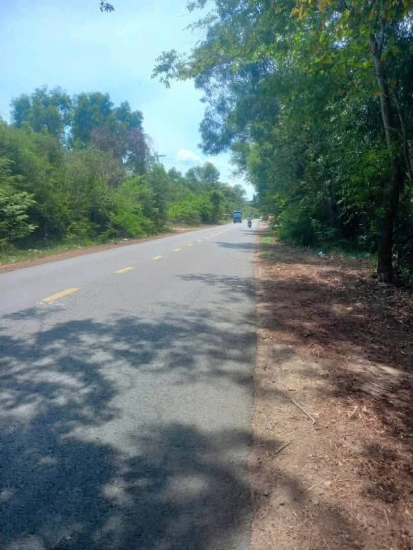 Bán lô đất mặt tiền ĐT748, 8083m2, Phú An, Bình Chánh - 33 tỷ - Ảnh thu nhỏ 2