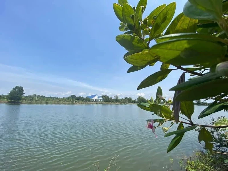 Bán 8 lô đất vườn view Hồ Trị An 1000m² – 1,1 tỷ/lô