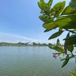 Bán 8 lô đất vườn view Hồ Trị An 1000m² – 1,1 tỷ/lô - Ảnh thu nhỏ 1