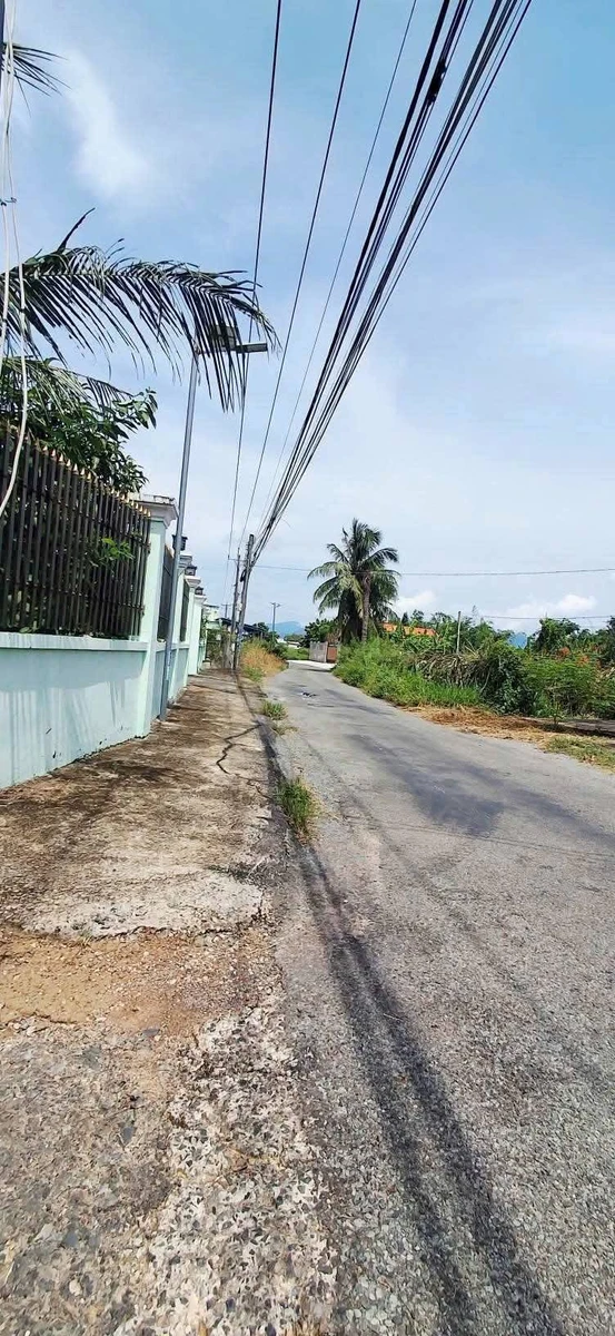 Bán đất thổ cư 600m² Tuyên Quang, Lâm Đồng 550 triệu - Ảnh thu nhỏ 3