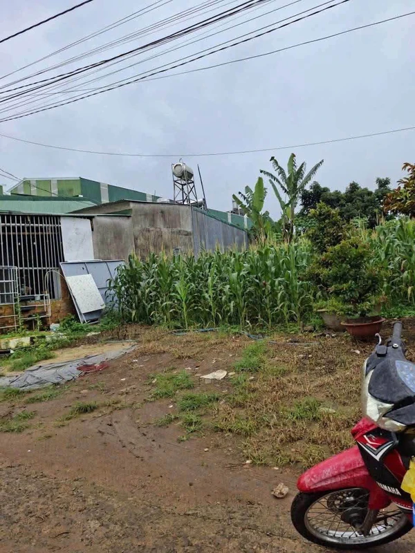 Bán lô góc Trần Văn Dũng 94,4m² - 5,85 tỷ donghoa
