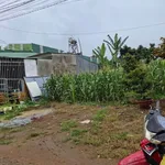 Bán đất Bảo Lâm 5x21m, 650 triệu, Bình Chánh - Ảnh thu nhỏ 1
