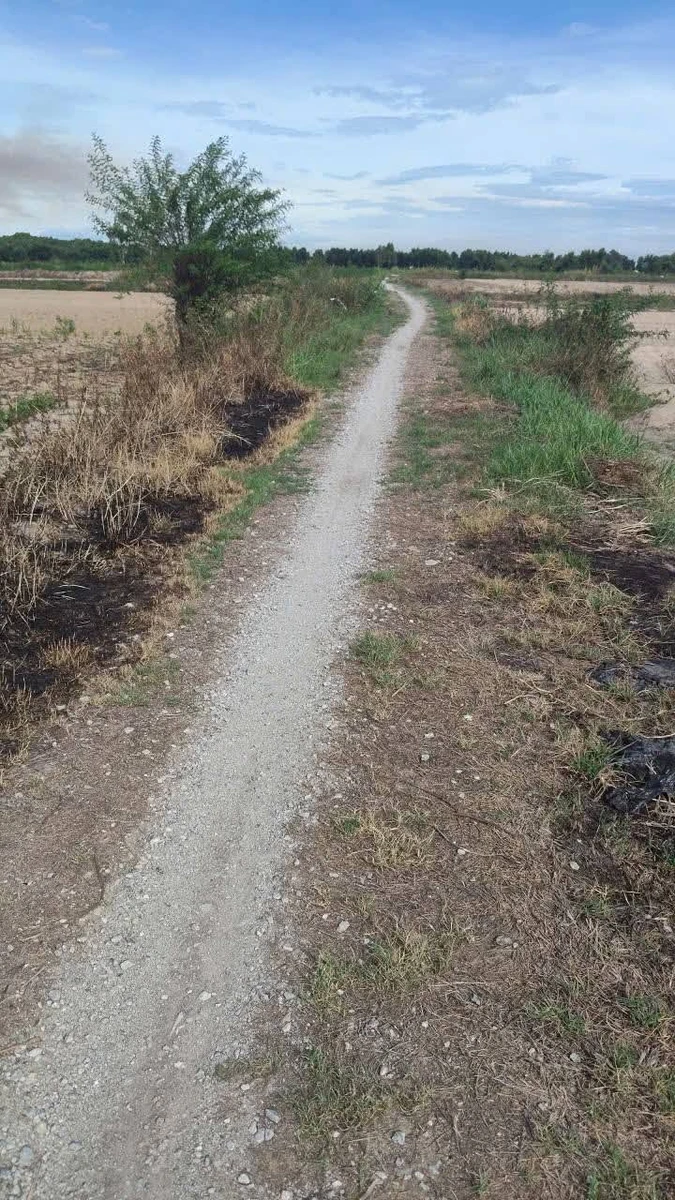 Bán đất biển Khe Hai, 263m2, 79 triệu - Ảnh thu nhỏ 2