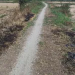 Bán đất biển Khe Hai, 263m2, 79 triệu - Ảnh thu nhỏ 2