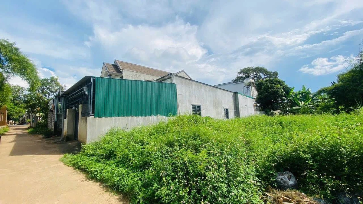 Bán đất hẻm Tỉnh lộ 2 Hòa Khánh, 252m², 950 triệu - Ảnh thu nhỏ 3