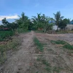 Bán đất nền mặt tiền đường Trần Nguyên Hãn, phường Vĩnh Lợi, Rạch Giá, 300m2, 700 triệu/nền - Ảnh thu nhỏ 2