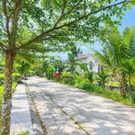Bán nhà Điện An gần BV Vĩnh Đức 100m2 giá 800 triệu - Ảnh thu nhỏ 1