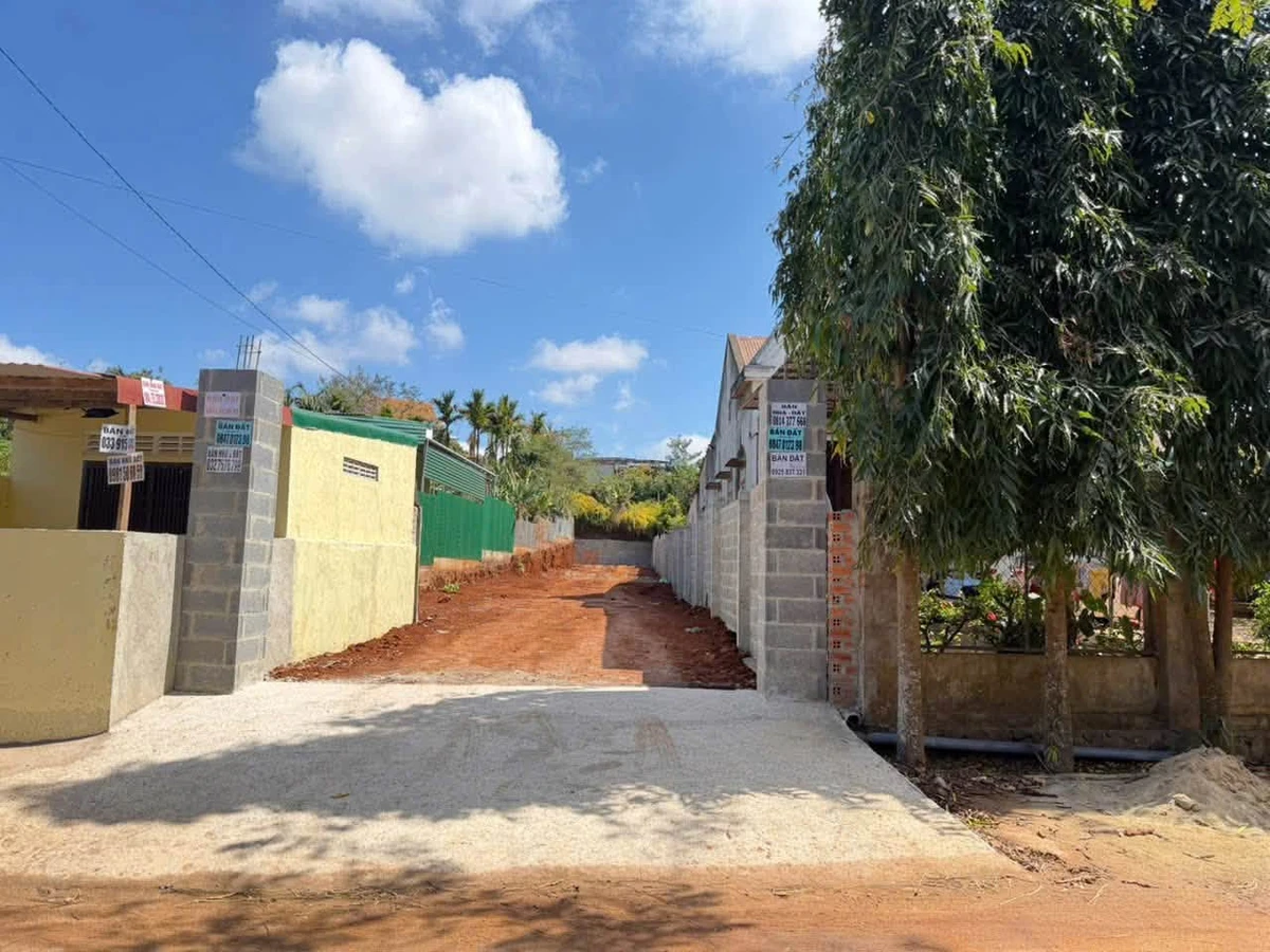 Bán đất 390m2 có thổ cư hẻm Mai Thị Lựu 2 tỷ 590 triệu - Ảnh thu nhỏ 3