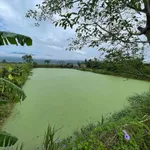 Bán trang trại 3700m2 tại Nam Đàn, Nghệ An, 7 tỷ - Ảnh thu nhỏ 2