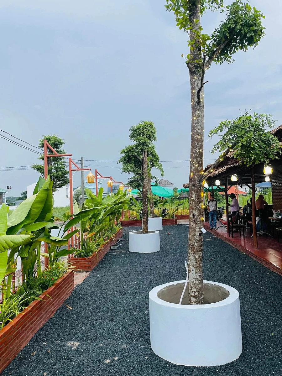 Bán đất 230m² có thổ cư Chơn Thành 685 triệu - Ảnh thu nhỏ 2