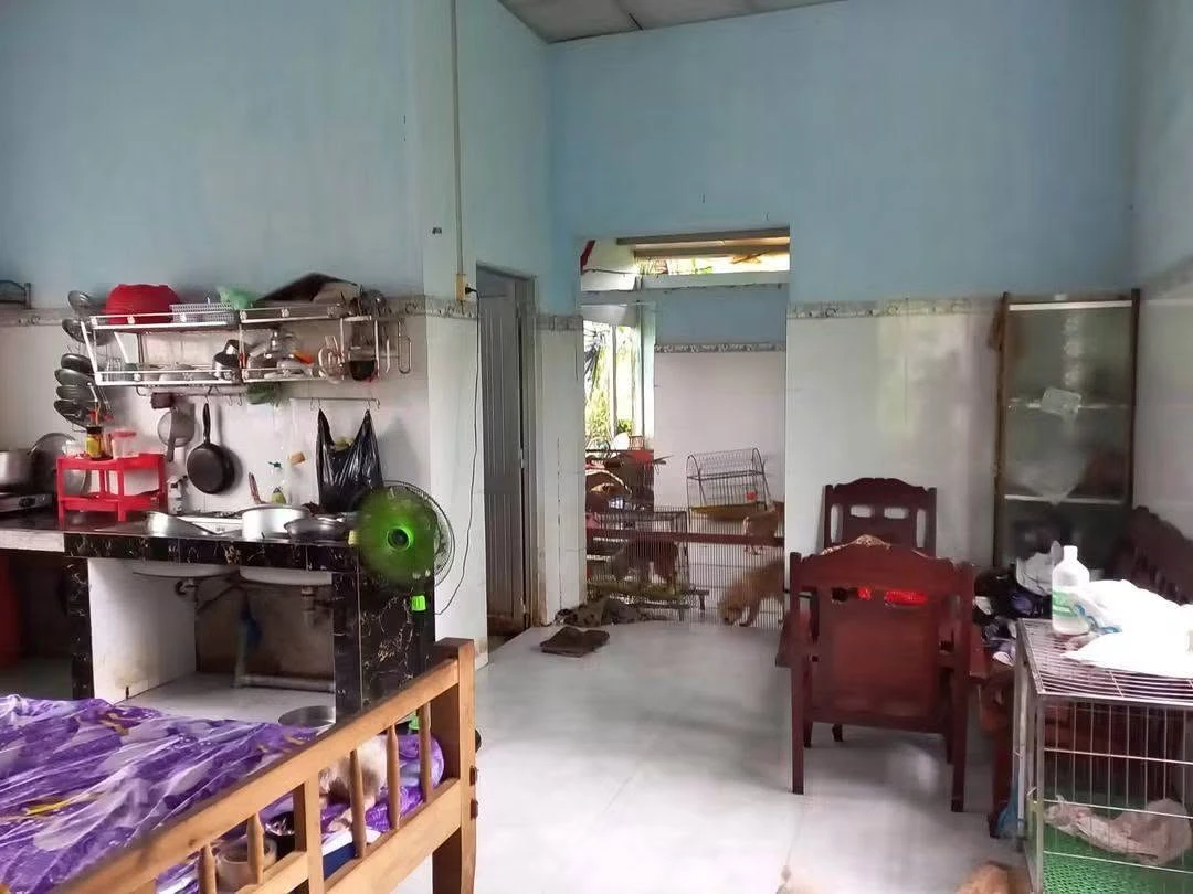 Bán đất mặt tiền đường tỉnh 885, 395m² Giồng Trôm Vĩnh Long - Ảnh thu nhỏ 4