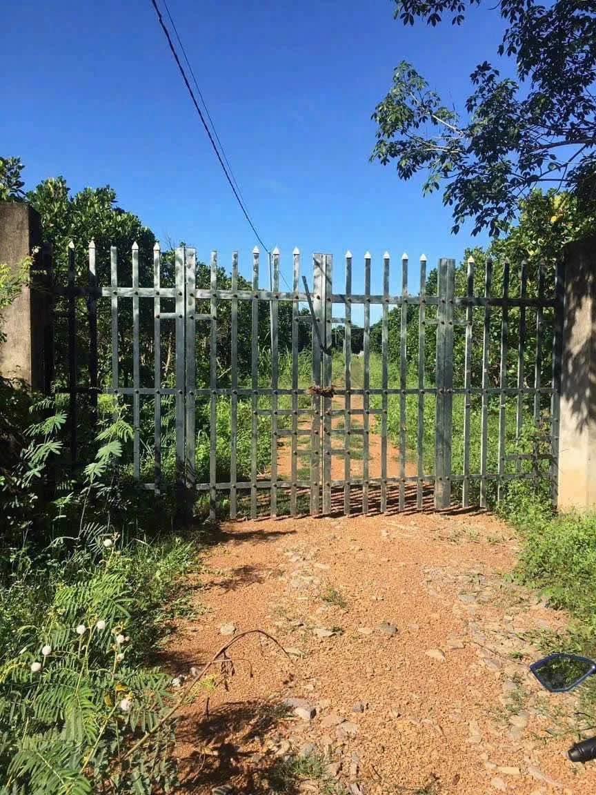 Bán đất 48.000m2 tại xã Phú Lý, Đồng Nai, 11 tỷ 500 triệu - Ảnh thu nhỏ 2