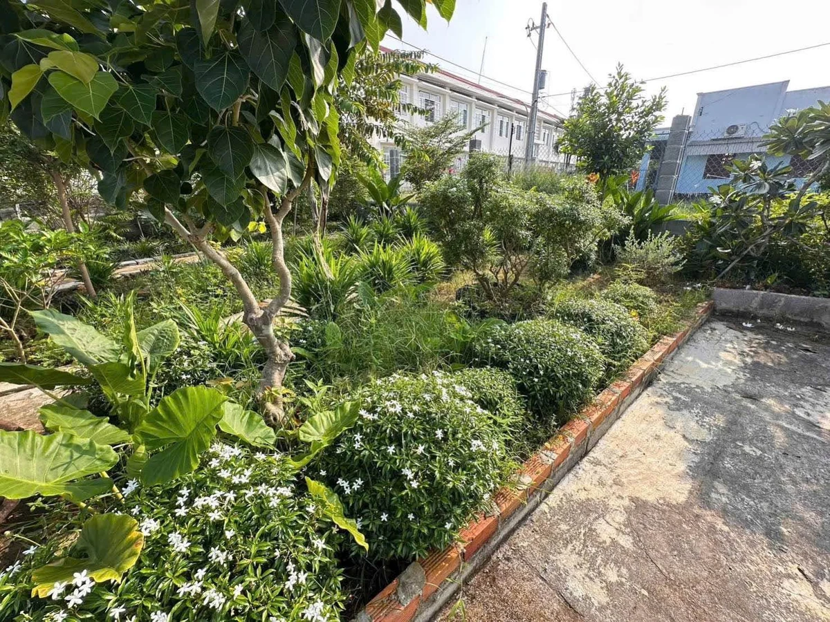 Bán nhà vườn 445m² 2 mặt tiền Phường Bình Thuận - Ảnh thu nhỏ 3