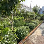 Bán nhà vườn 445m² 2 mặt tiền Phường Bình Thuận - Ảnh thu nhỏ 3