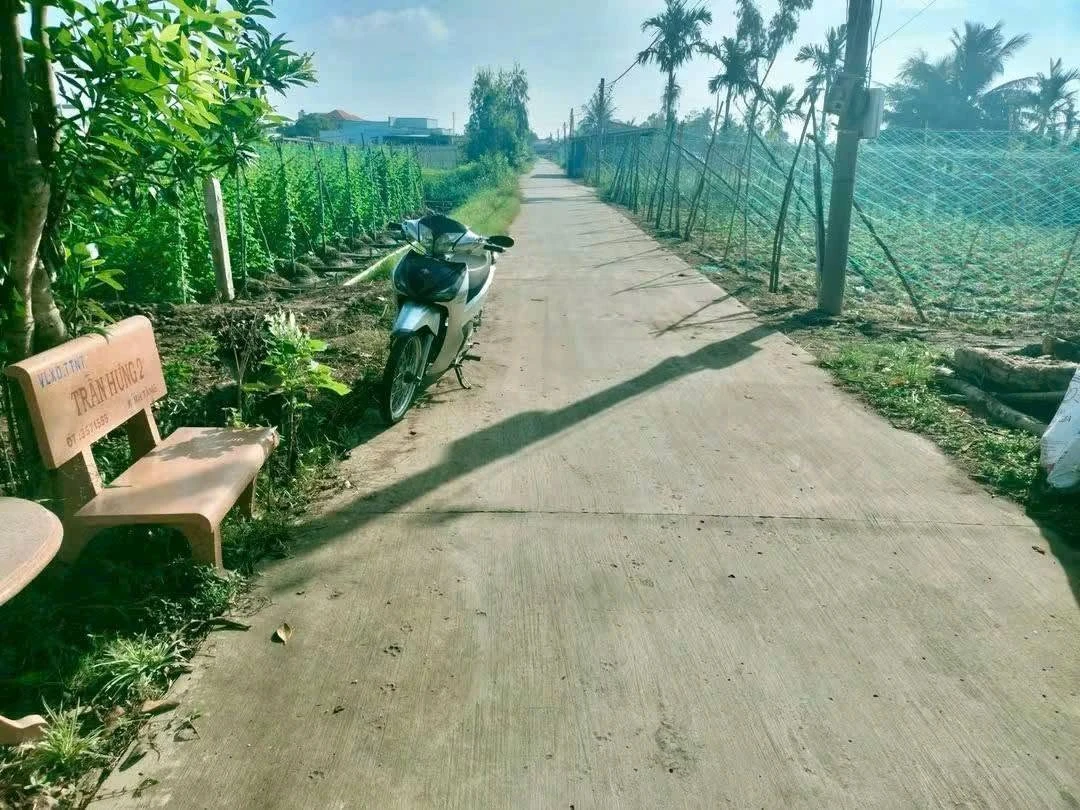 Bán đất làm trang trại 3600 m² Gò Công Đông, Tiền Giang - Ảnh thu nhỏ 3
