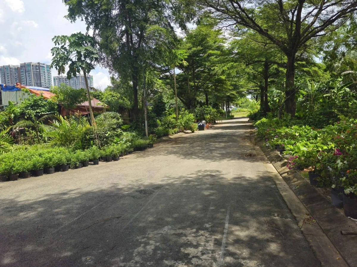 Bán đất nền 250m2 KDC Hoàng Anh Minh Tuấn, Quận 9 - Ảnh thu nhỏ 2