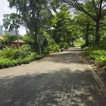 Bán đất nền 250m2 KDC Hoàng Anh Minh Tuấn, Quận 9 - Ảnh thu nhỏ 2