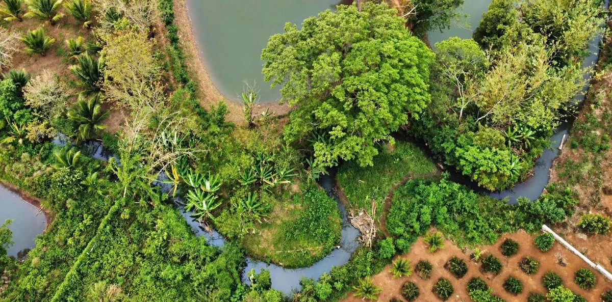 Bán đất vườn sinh thái 3.866 m² Ea Kao Buôn Ma Thuột - Ảnh thu nhỏ 5