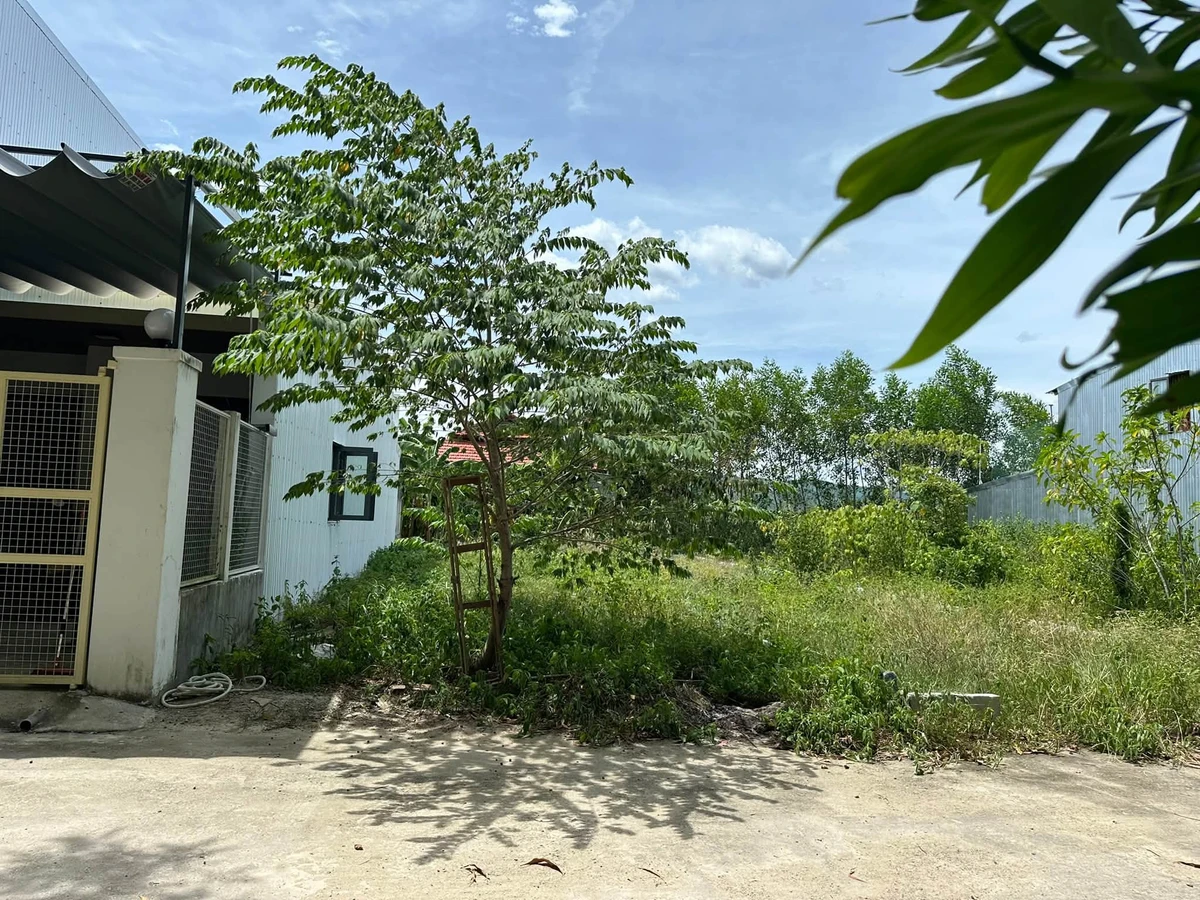 Bán đất thổ cư 122 m² Nam Thành, Đà Nẵng 1 tỷ 350 triệu - Ảnh thu nhỏ 5