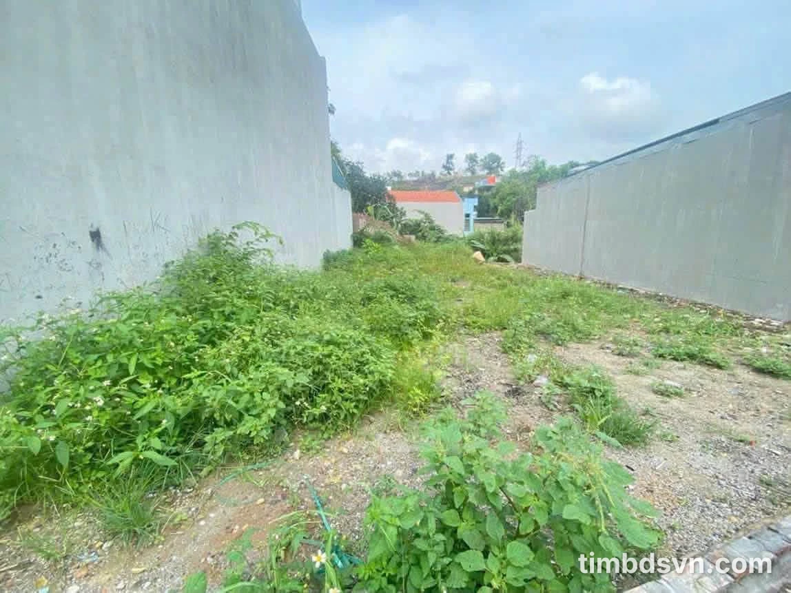 Bán đất ô tô nhỏ Hà Lầm 72.8m² Quận 12 - Ảnh thu nhỏ 4