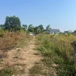 Bán đất nền 46x85m Tân Hưng Bà Rịa 9 tỷ - Ảnh thu nhỏ 4