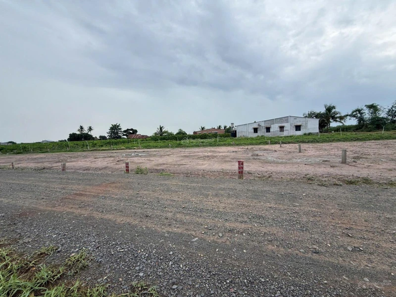 Bán đất view Núi Bà Đen - Dương Minh Châu, 199 triệu, 93m2, sổ sẵn