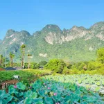 SIÊU PHẨM LẠC THỦY - GIÁP NINH BÌNH - CÁCH HÀ NỘI 65KM - Ảnh thu nhỏ 15