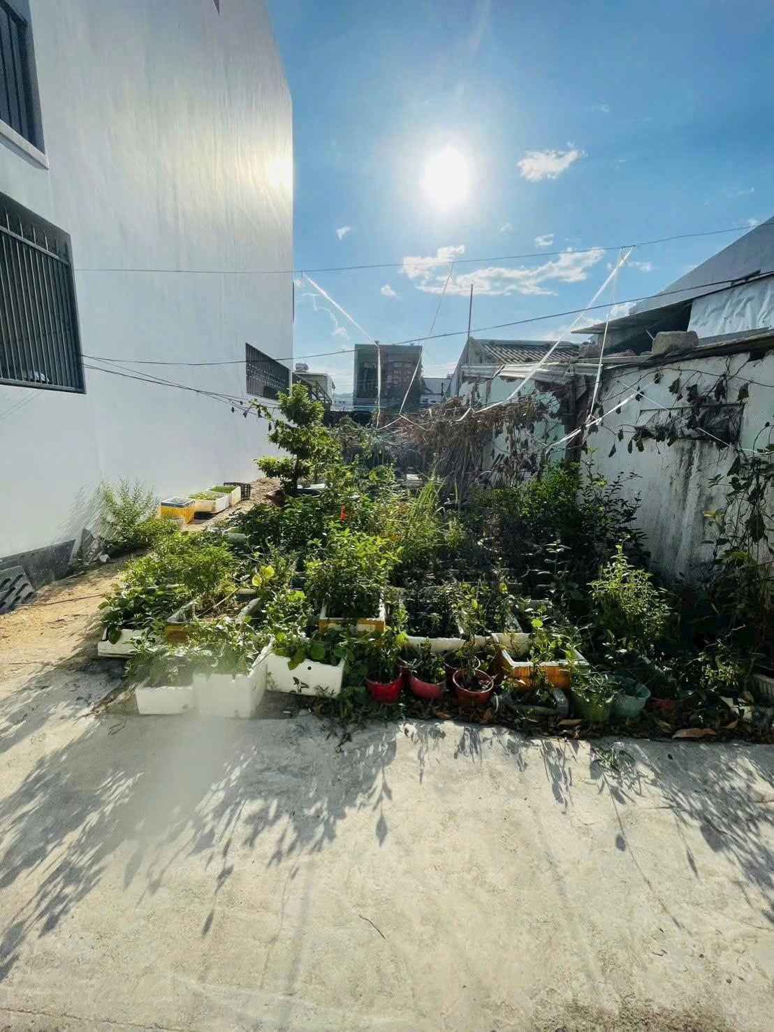 Bán đất Nha Trang 225m2, 1 tỷ 820 triệu - Ảnh thu nhỏ 2