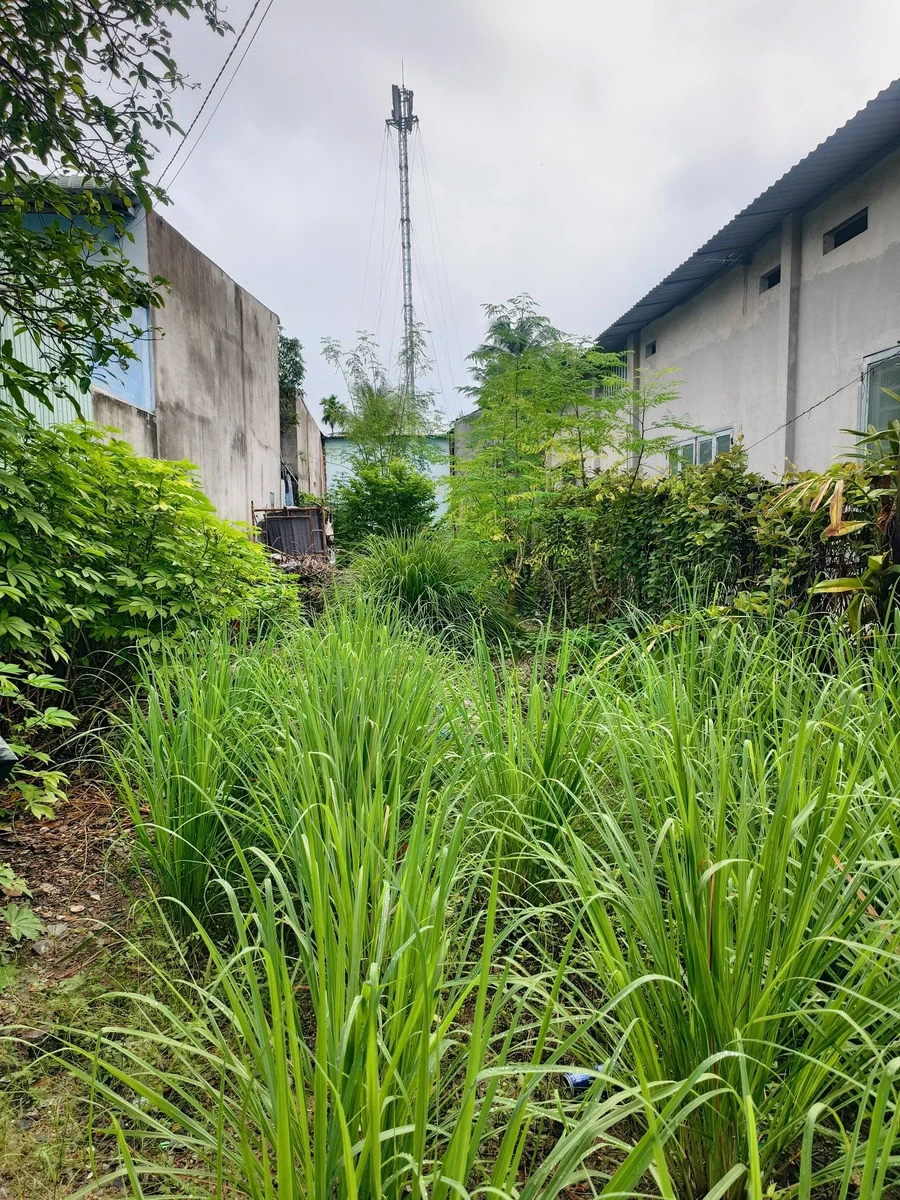 Bán lô đất 2 mặt tiền 232,7m2 hẻm ô tô đường Nguyễn Tri Phương, Chánh Nghĩa, Thủ Dầu Một - Ảnh thu nhỏ 3