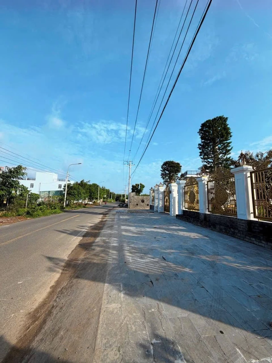 Bán đất sổ riêng mặt tiền Ông Bình, Tân Triều 132m2, 2 tỷ 90 - Ảnh thu nhỏ 2