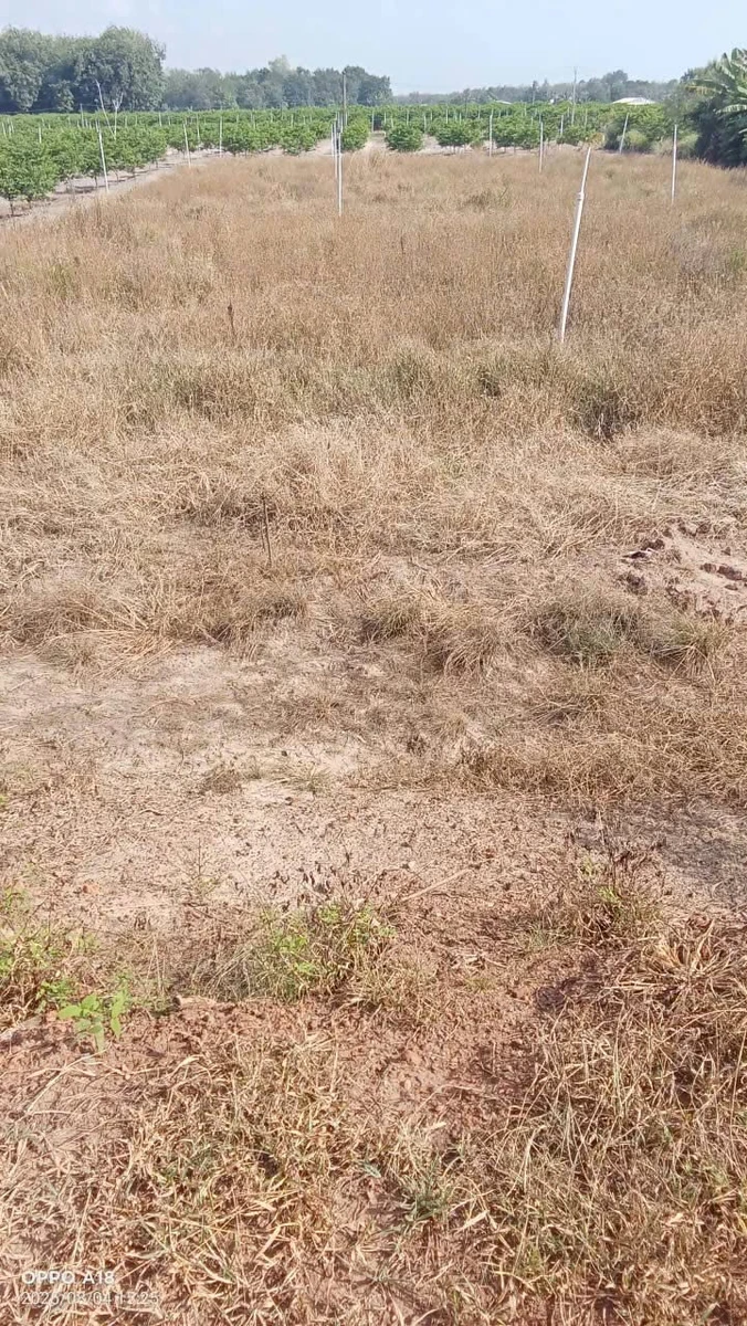 Bán nhà Phú Lợi 3PN, 86m², 3 tỷ 5 8x20m - Ảnh 1