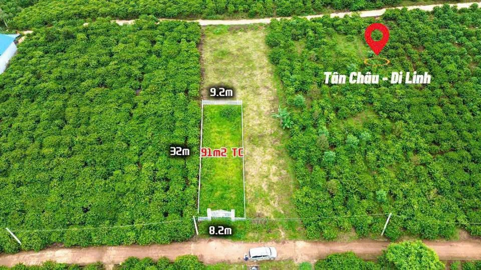 Bán đất nền 91m2 Lâm Đồng, giá 727 triệu, sổ hồng riêng - Ảnh thu nhỏ 4