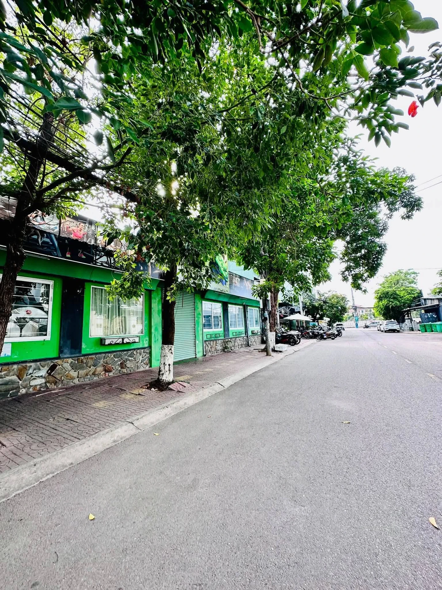 Bán đất mặt tiền Đinh Công Tráng Quy Nhơn 43,3m2 4 tỷ - Ảnh 1