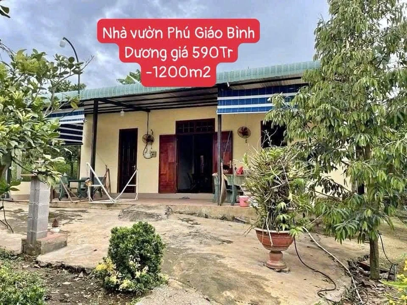 Bán đất vườn Phú Giáo 1.200m² có nhà cấp 4 590 triệu