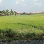 Bán đất nền 20x38m (760m²) Gia Tân, Tây Ninh - Ảnh thu nhỏ 1