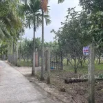 Chính chủ bán lại đất vườn, có thổ cư tại xã Tân Thạch, huyện Châu Thành, tỉnh Bến Tre - Ảnh thu nhỏ 13